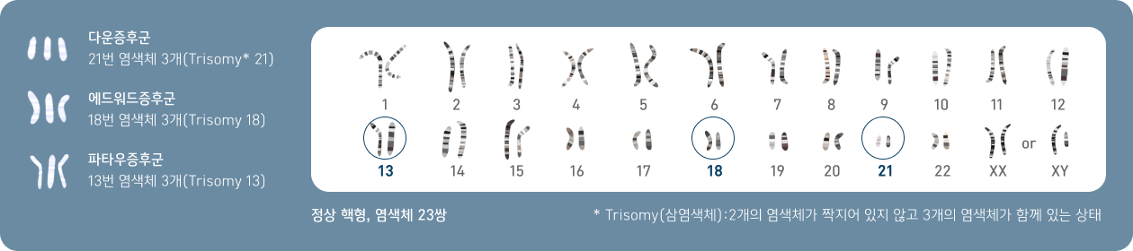 다운증후군 21번 염섹체3개, 에드워드증후군 18번 염색체 3개, 파타우증후군 13번 염색체 3개 설명표